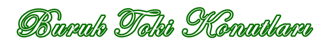 Buruk Toki Konutları
